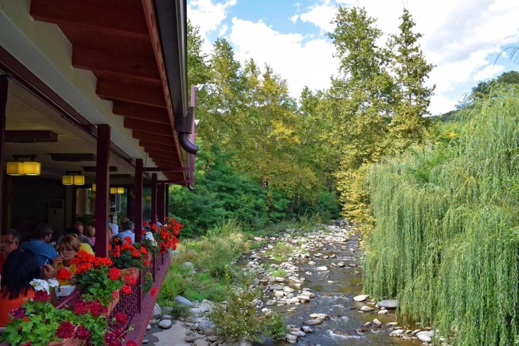 Vila Rai Ognyanovo (Blagoevgrad) Luaran gambar